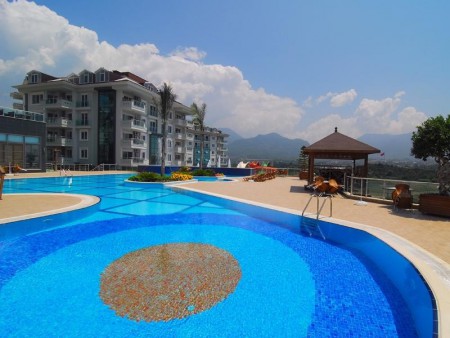 Alanya-Cikcilli Olive city
